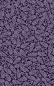 ⡂Ɋ}